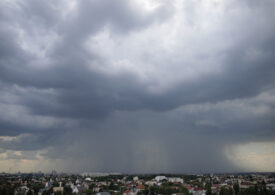 Copaci doborâți de vânt și inundații, în timpul alertei de vreme extremă în București și Ilfov - <span style="color:#990000;">UPDATE</span>