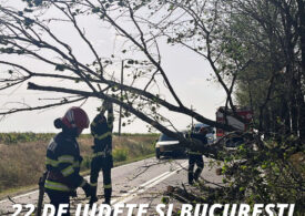 Furtunile de ieri au provocat 4 morți și 117 copaci prăbușiți. Au fost avariate case, mașini, dar și blocuri